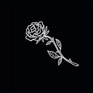 Meet your Posher, Eva